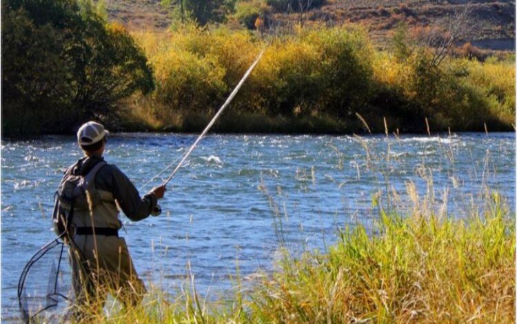 Bilecik iç sularında av yasağı sona erdi Bilecik iç sularında av yasağı sona erdi