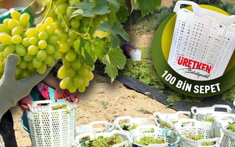 Manisa’da üzüm üreticilerine ‘sepet’ desteği Manisa’da üzüm üreticilerine ‘sepet’ desteği