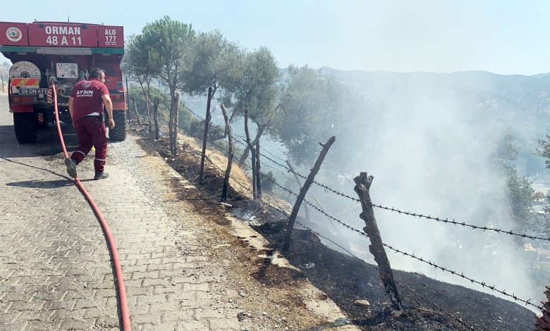 Aydın Koçarlı’da 20 dönüm arazi yandı