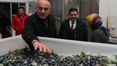 Bursa Gemlik’te zeytin çiftçisine yapılan destekleri anlattı