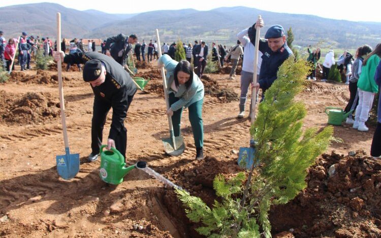 Bilecik Pazaryeri’nde fidanlar depremde hayatını kaybedenler için yeşerecek Bilecik Pazaryeri’nde fidanlar depremde hayatını kaybedenler için yeşerecek