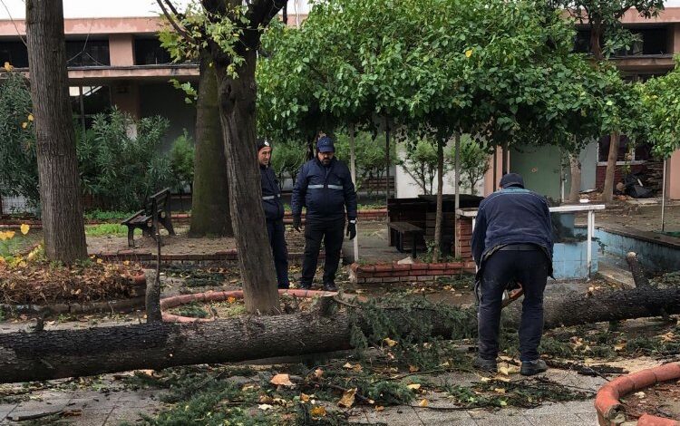 Bursa’da Osmangazi’de lodos mesaisi