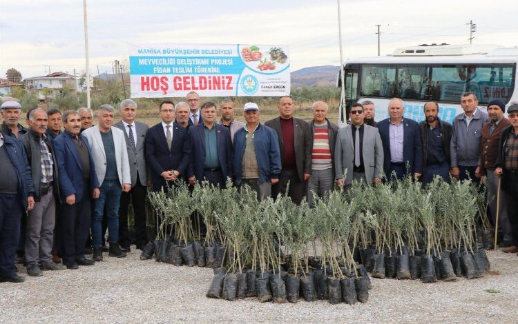 Manisa’da 72 bin 700 zeytin fidanı dağıtılacak