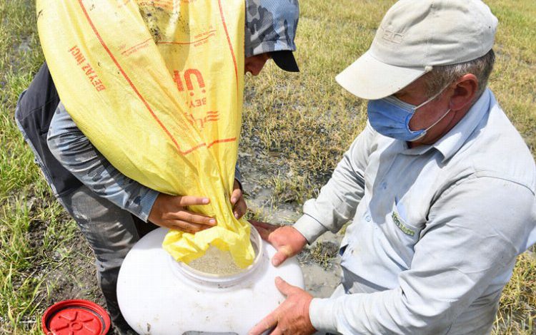 Gübre fiyatlarında indirim! Gübre fiyatlarında indirim!