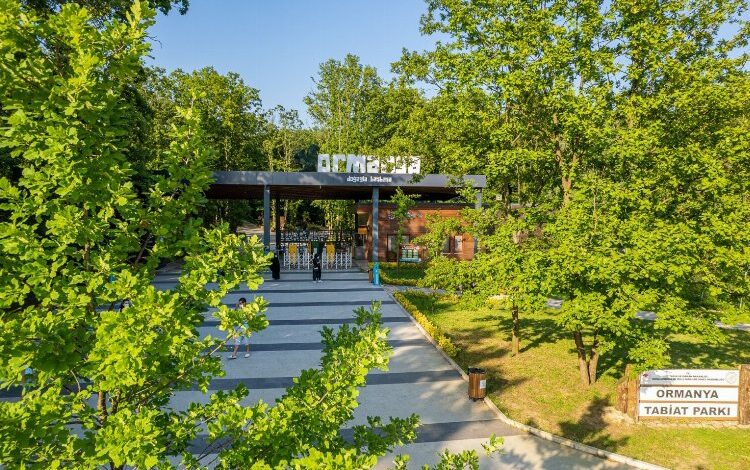 Ormanya bayrama hazır