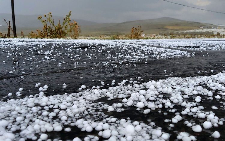 Edirne’de 16 bin dekarda dolu zararı Edirne’de 16 bin dekarda dolu zararı