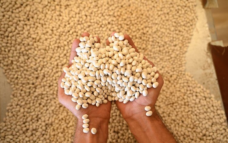 Akçabelen Fasulyesi’ne Konya’dan ‘Büyük’ destek