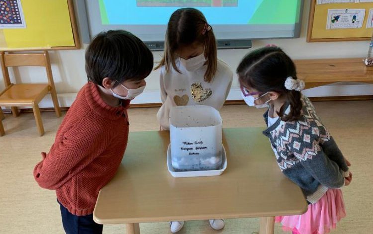 İTÜ’nün ‘Canlı Ansiklopedim’ne ‘kalite’ etiketi