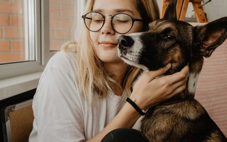 Evde erken yaşta kedi ve köpek beslemek, alerji riskini azaltıyor Evde erken yaşta kedi ve köpek beslemek, alerji riskini azaltıyor
