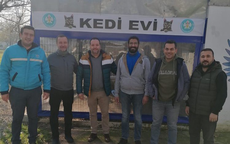 Kedi Evi’ne Babesia taraması