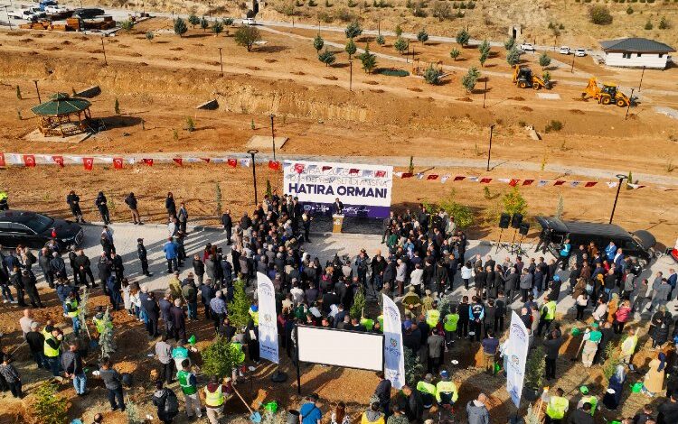 Malatya deprem şehitlerini bu ormanda yaştacak