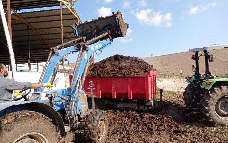 Bursa Yenişehir’de hayvan gübresine yöneliş artıyor Bursa Yenişehir’de hayvan gübresine yöneliş artıyor