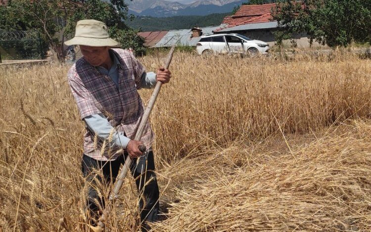 Bursa Keles’te ata topraklarına sahip çıkıyor