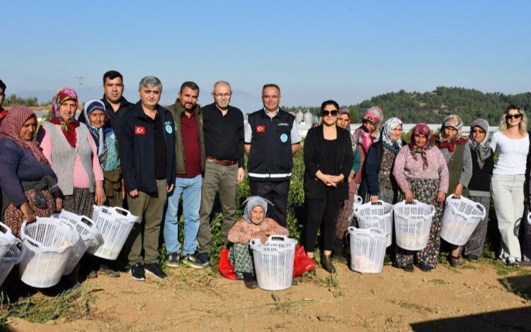 Manisa’da çiftçi kadınların günü tarlada kutlandı