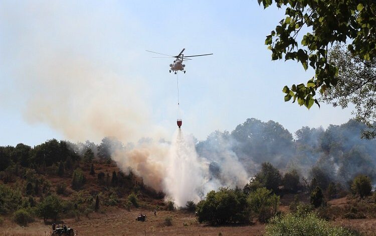 Bilecik’te orman yangını