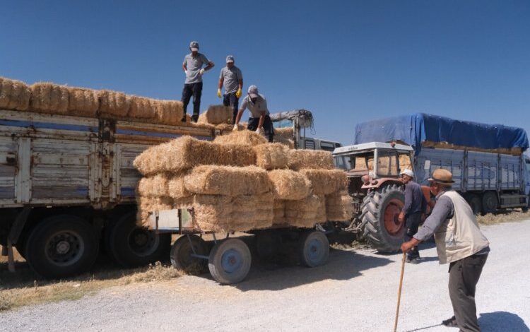 Hayvancılık bitmesin diye balya balya destek