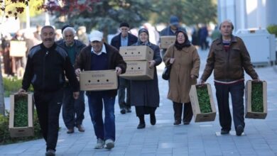 Kayseri Kocasinan’da organik etkinlik