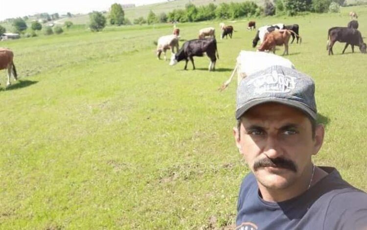 Kurbanlık düveleri kayboldu… Heryerde düvelerini arıyor!