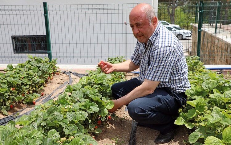 Kayseri Talas’tan deneme bahçelerine teşvik Kayseri Talas’tan deneme bahçelerine teşvik