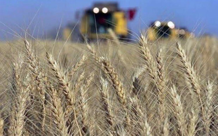 Bursa’da Başkan, savaşın tarıma etkilerini anlattı