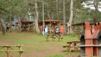 Küçükelmalı Tabiat Parkı hafta sonlarının vazgeçilmezleri arasında