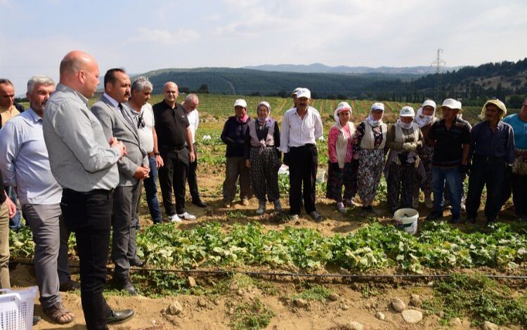 Tarım işçisinin koruyucu ekipmanları Manisa’dan Tarım işçisinin koruyucu ekipmanları Manisa’dan