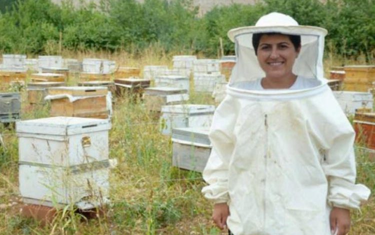 Ankara Gölbaşı’nda arıcılık kursu başlıyor Ankara Gölbaşı’nda arıcılık kursu başlıyor