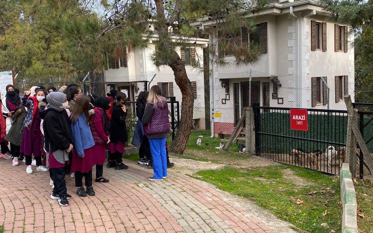 Bursa Osmangazi’nin can dostlarına hayvan sever ilgisi Bursa Osmangazi’nin can dostlarına hayvan sever ilgisi