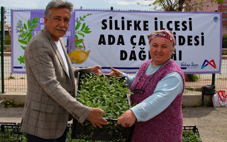 Üreticiler yeniden ada çayı fidesi ile buluştu Üreticiler yeniden ada çayı fidesi ile buluştu