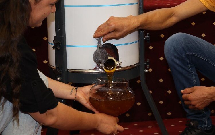 Muğla’da ilk sağım çam balı 61 bin TL!