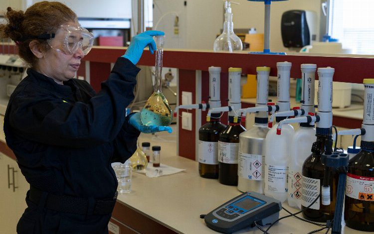 SOCAR Türkiye, ilk dijital projeyle fonlanacak