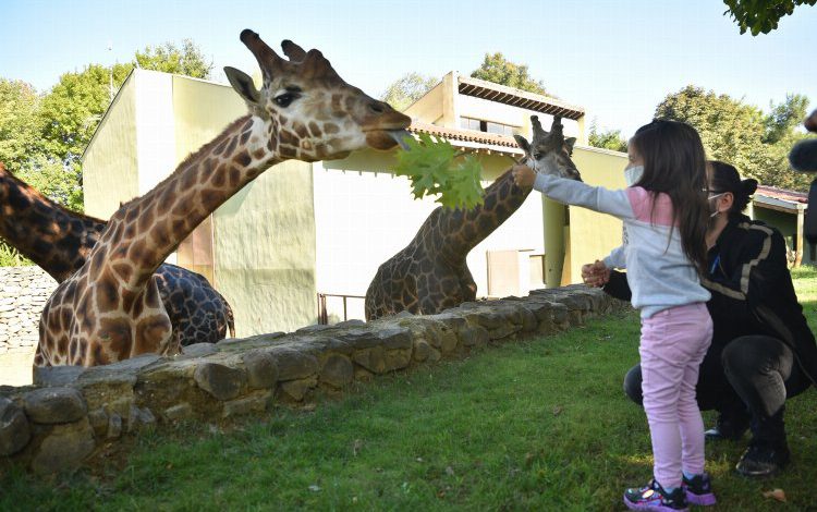 Bursa Hayvanat Bahçesi’nde ‘halk günü’