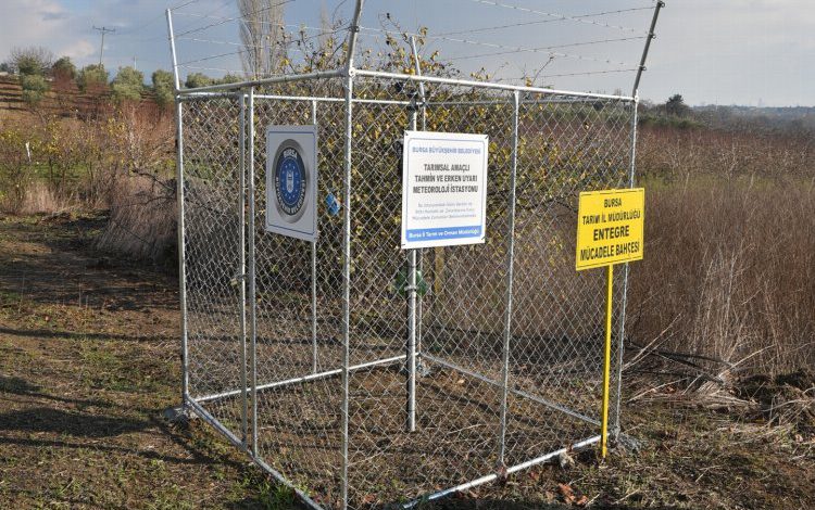 Bursa tarımındaki risklere Büyükşehir eli