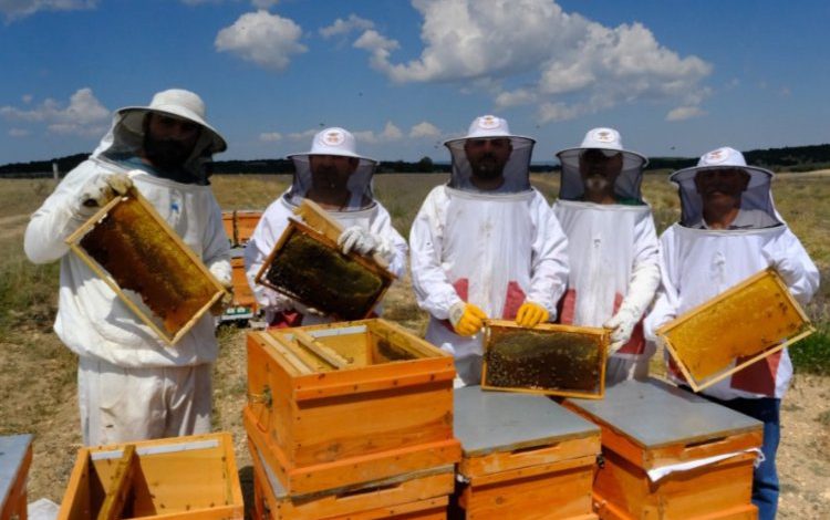 Girişimci kadınlardan bal gibi üretim