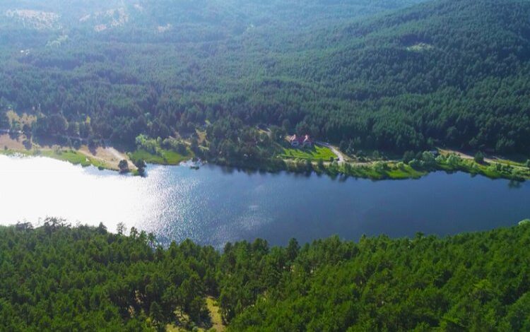 Ankara’da ormanlık alanlara giriş yasaklandı! Ankara’da ormanlık alanlara giriş yasaklandı!