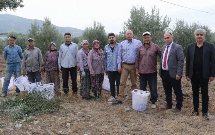 Manisalı üreticilere Büyükşehir desteği Saruhanlı’da sürdü Manisalı üreticilere Büyükşehir desteği Saruhanlı’da sürdü