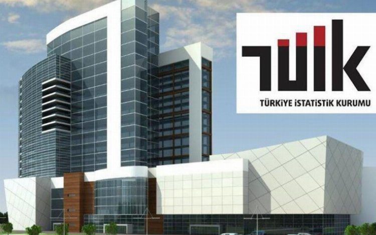 TÜİK’te yeni daire başkanlığı kuruldu