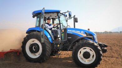 Muğla’da balya balya yem desteği… Üreticiye destek sürüyor