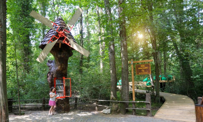 Kocaeli’nin ‘Ormanya’sına uluslararası ödül Kocaeli’nin ‘Ormanya’sına uluslararası ödül