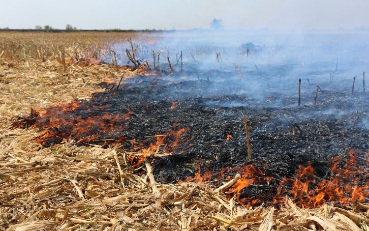İpsala’da ‘anızları yakmayalım’ uyarısı İpsala’da ‘anızları yakmayalım’ uyarısı
