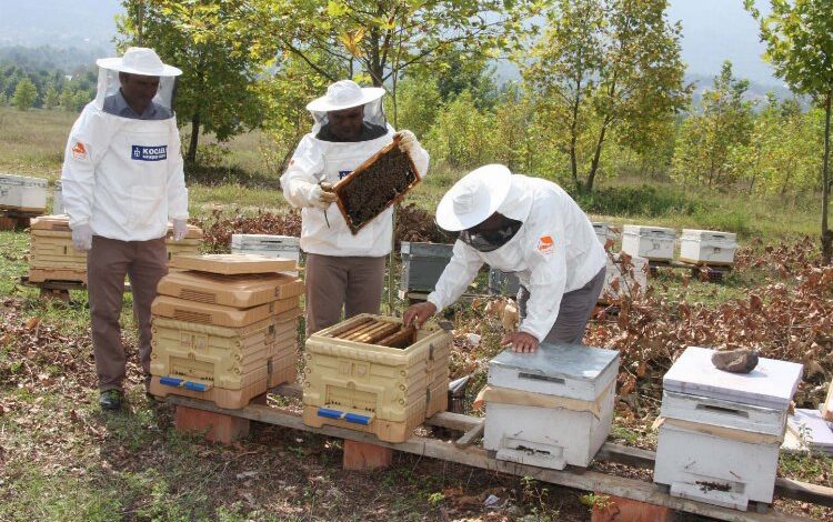 Kocaeli’den tarıma hep destek tam destek Kocaeli’den tarıma hep destek tam destek