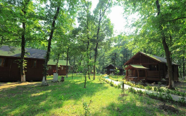 Sakarya’dan kritik bir uyarı daha Sakarya’dan kritik bir uyarı daha