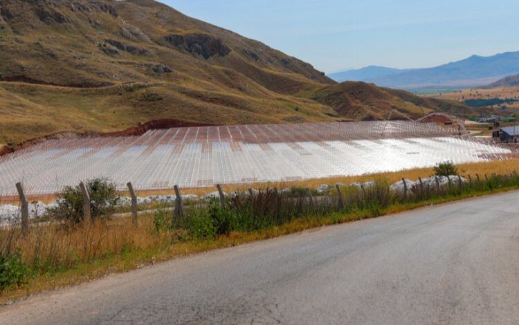 Sivas’ın cam serasında sona doğru