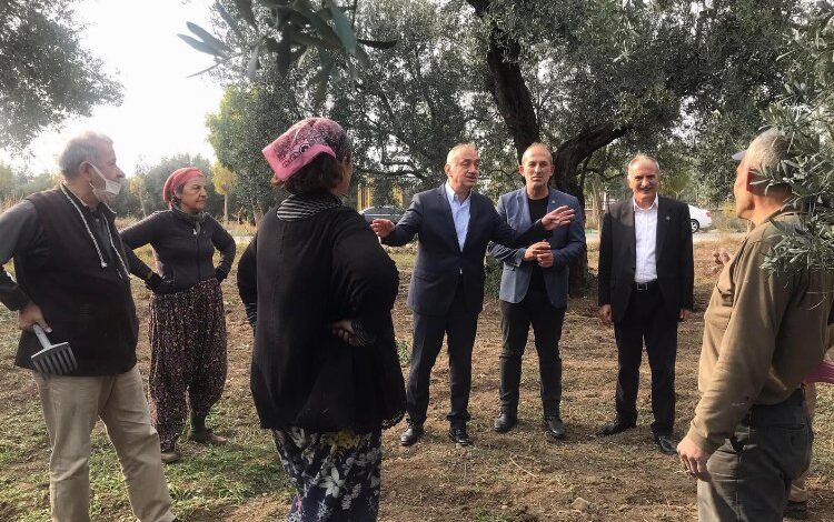 İYİ Partili Tatlıoğlu Bursa’da zeytin üreticilerine ses oldu İYİ Partili Tatlıoğlu Bursa’da zeytin üreticilerine ses oldu