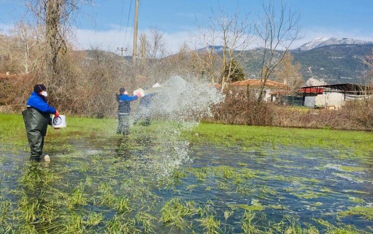 Muğla’da yağış sonrası vektörle mücadele sürüyor Muğla’da yağış sonrası vektörle mücadele sürüyor