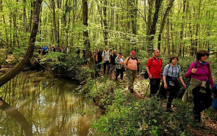 SARDOS üyeleri İğneada Longoz’da yürüdü SARDOS üyeleri İğneada Longoz’da yürüdü