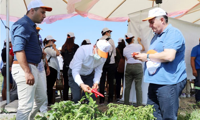 Taze meyve sebzede ‘gönüllü hasat’